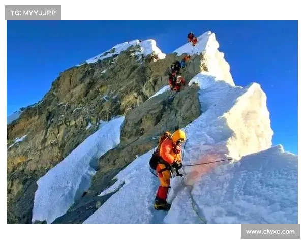 探索极限挑战之旅 体验前所未有的未知世界与冒险极限 探索极限挑战之旅 体验前所未有的未知世界与冒险极限