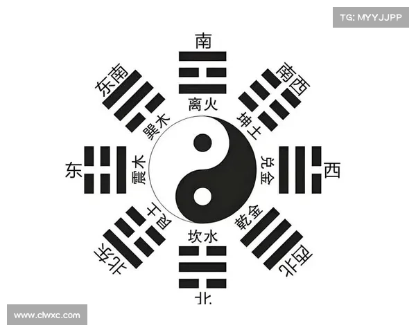 阴阳符文的奥秘与古代哲学的深度解读之旅 阴阳符文的奥秘与古代哲学的深度解读之旅