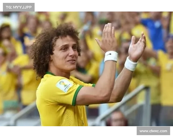 大卫路易斯未入选国家队的深层原因分析与其影响因素探讨 大卫路易斯未入选国家队的深层原因分析与其影响因素探讨