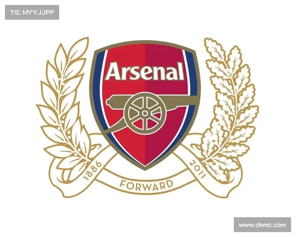 如何全面欣赏与深度解析阿森纳队徽设计细节与历史演变指南全览法