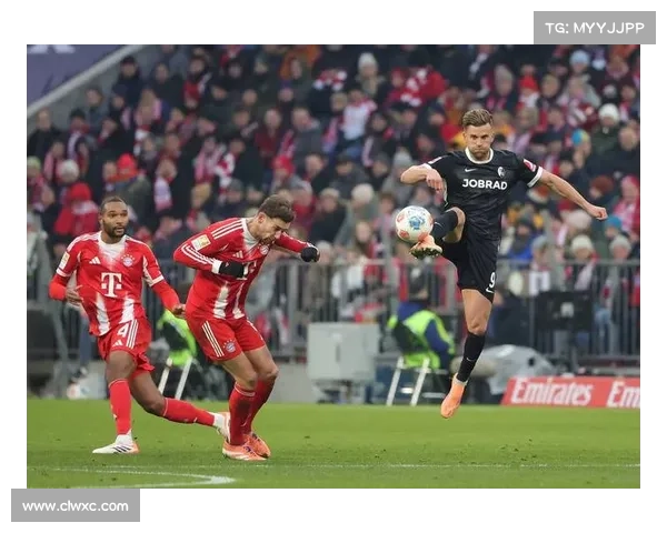 拜仁体育场见证激情岁月展现德国足球精神与城市文化魅力