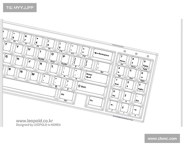 普罗沃德与孔塞桑如何凭借独特战术布局实现关键胜利