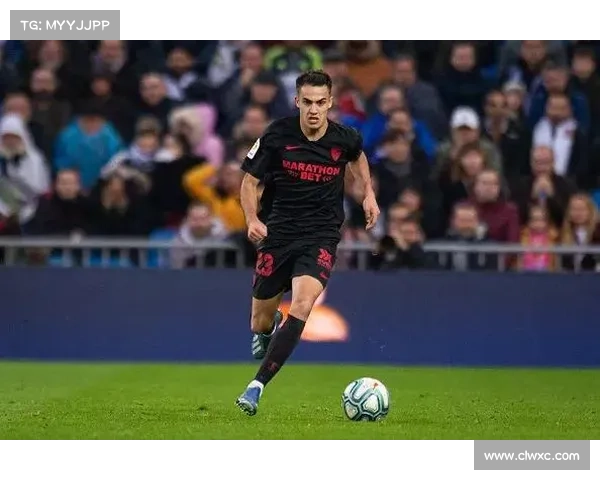 如何辨别西甲新赛季潜力新星及其崛起的关键因素分析