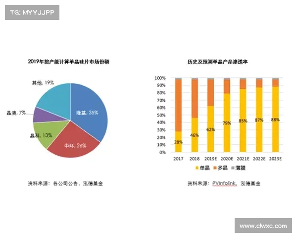 影响西甲新星成长的多重因素解析与发展路径探讨 影响西甲新星成长的多重因素解析与发展路径探讨