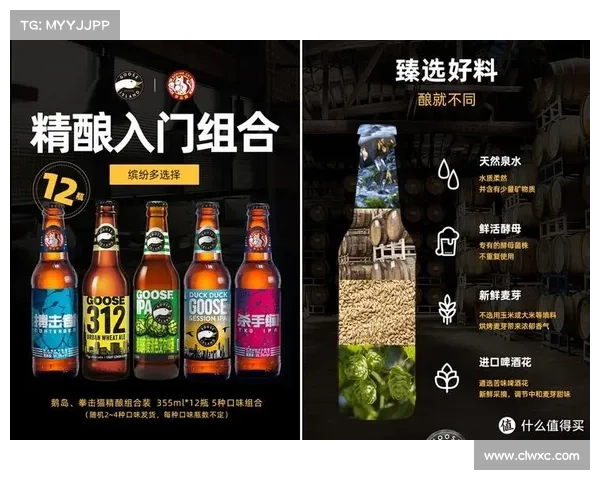 拳击赛制全解析 揭秘你不知道的规则与亮点