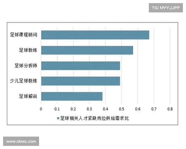 提升足球俱乐部盈利的七大财务策略及实施路径分析